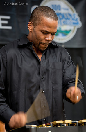 Warren Wolf 43910z