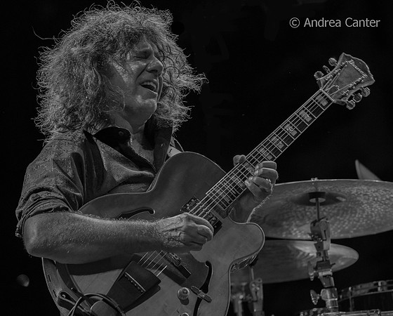 Pat Metheny (trio) 266875z BW