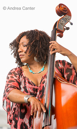 Joan Belgrve Qt, Marion Hayden 42950z