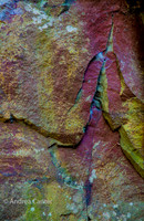 Pothole Trail 361887z