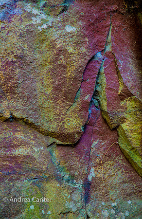 Pothole Trail 361887z
