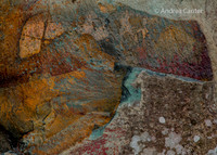 Pothole Trail 361775z