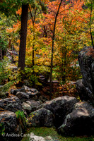 Pothole Trail 361739z