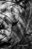 Pothole Trail 361879 BWz