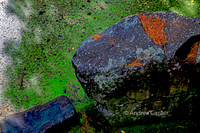 Interstate Park (MN) - Pothole Trail