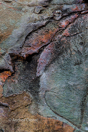 Pothole Trail 361899z