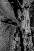 Sticks and stones 361804 BWz