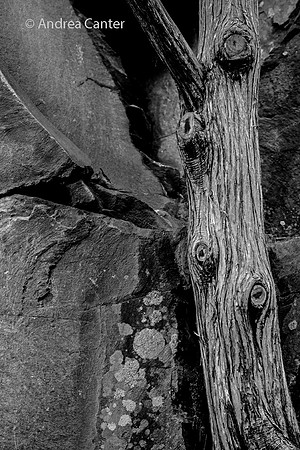 Sticks and stones 361804 BWz