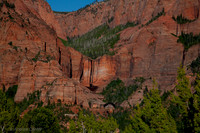 Kolab Canyon (Zion) 55488z