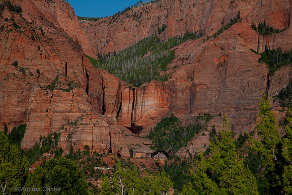 Kolab Canyon (Zion) 55488z