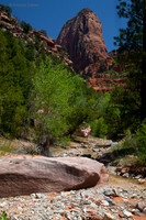 Kolab Canyon (Zion) 55426z