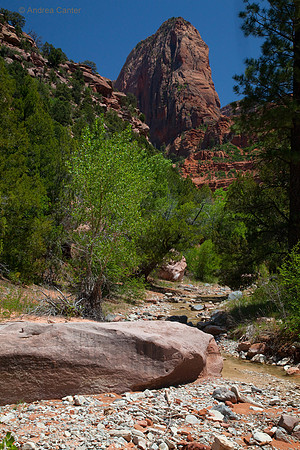 Kolab Canyon (Zion) 55426z