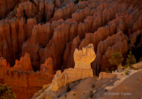 Utah Canyon Country 2011