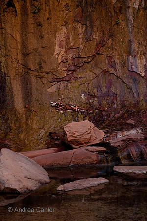 Zion, Riverwalk 55627z