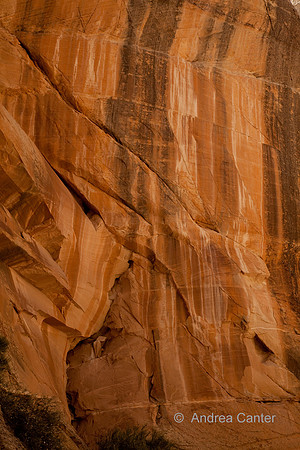 Cottonwood Canyon Narrows 55916z