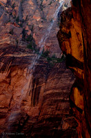 Zion  55794z