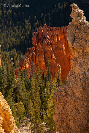Bryce Canyon 56099z