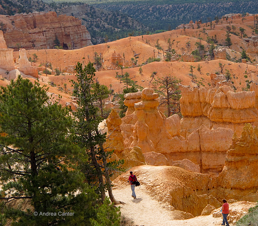 Bryce Canyon, Queen's Garden G0396z