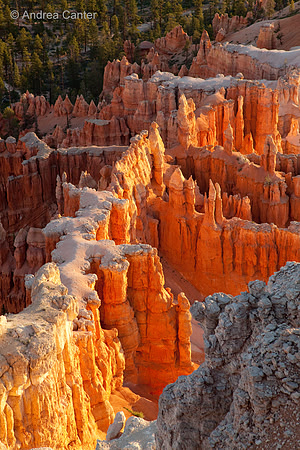 Bryce Canyon  56012z