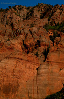 Kolab Canyon (Zion) 55512z