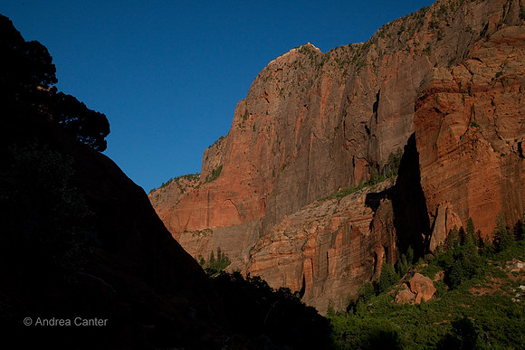 Kolab Canyon (Zion) 55524z
