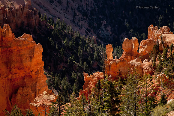 Bryce Canyon 56149z