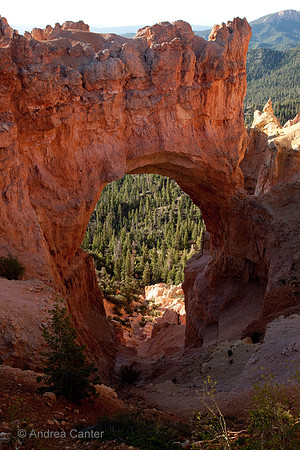 Bryce, Natural Bridge 56096z
