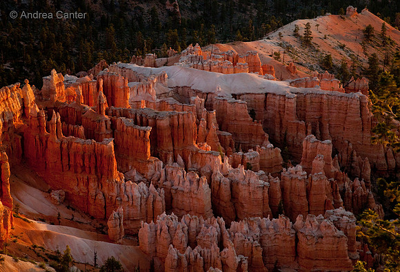 Bryce Canyon Amphitheater 55985z