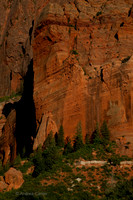Kolab Canyon (Zion) 55513z