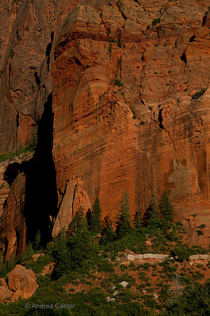 Kolab Canyon (Zion) 55513z