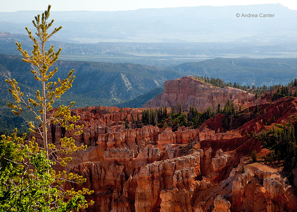 Bryce Canyon 56118z