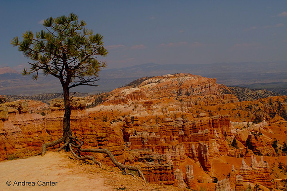 Bryce Canyon,  G0591z
