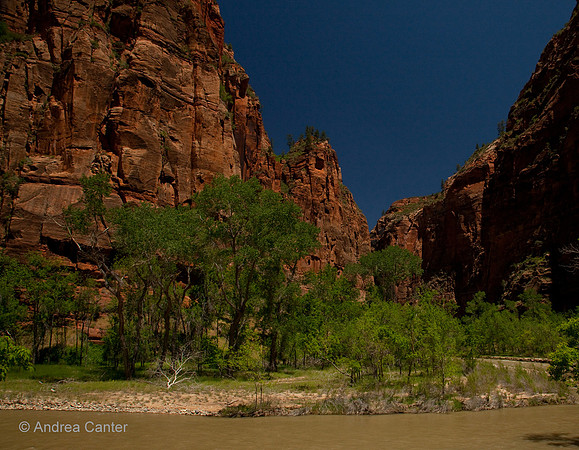 Zion, Riverwalk 55704z