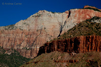 Zion 55543z