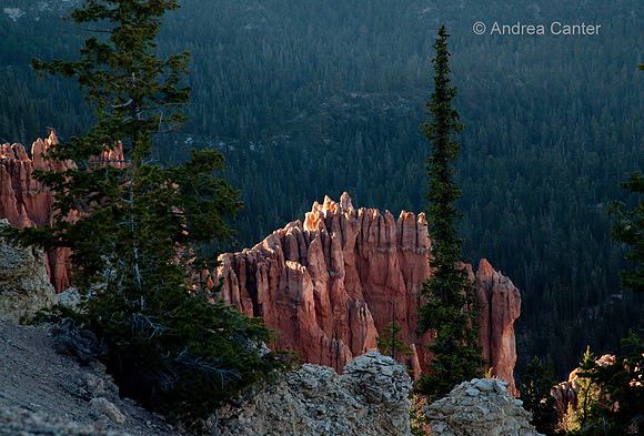 Bryce Canyon,  56183z