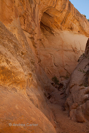 Cottonwood Canyon Narrows 55933z