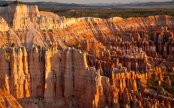 Bryce Canyon  55992z
