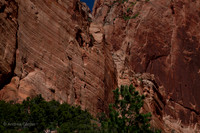 Kolab Canyon (Zion) 55456z