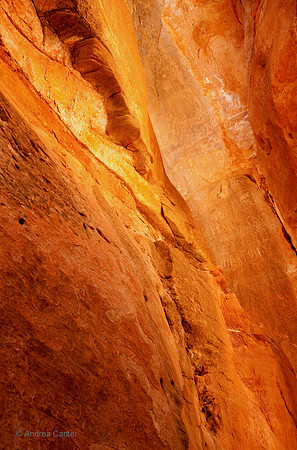 Zion, slot canyon 55771z