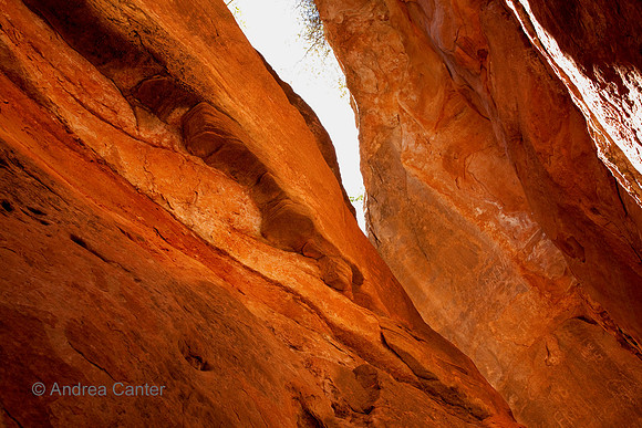 Zion, slot canyon 55772z
