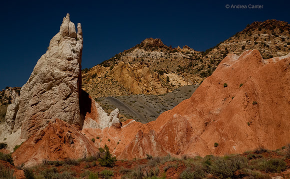 Cottonwood Canyon 55963z