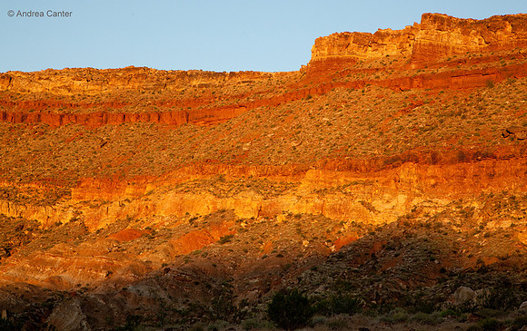 Quail Creek State Park, sunrise (Zion) 55537z