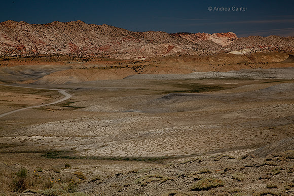 Cottonwood Canyon 55906z