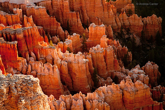 Bryce Canyon  56005z