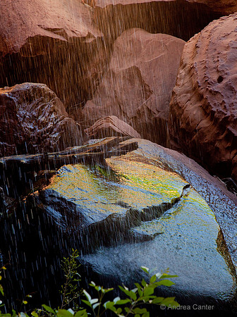 Zion, Riverwalk 55802z