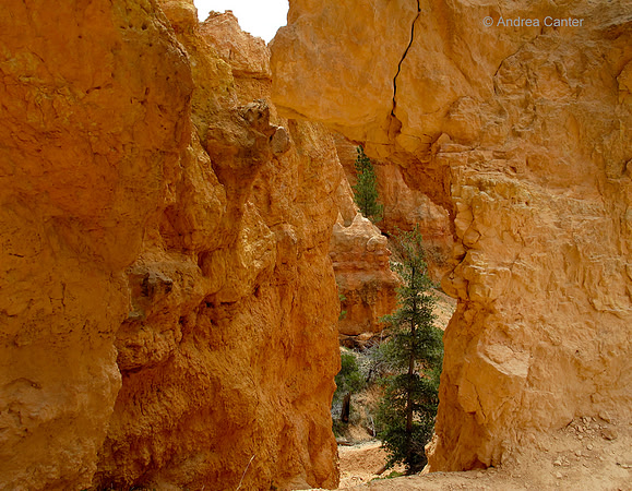 Bryce Canyon, Queen's Garden G0459z
