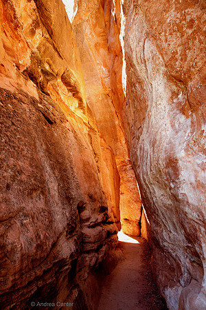 Zion, slot canyon 55766z