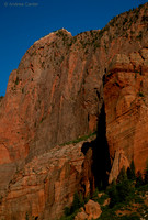 Kolab Canyon (Zion) 55510z