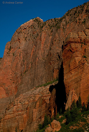 Kolab Canyon (Zion) 55510z