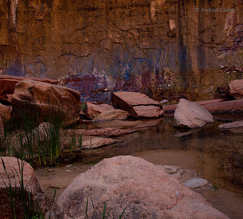 Zion, Riverwalk 55626z